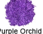 Close-up of purple orchid flowers with a blurred background